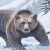 Bear In The Snow Diamond Paintings