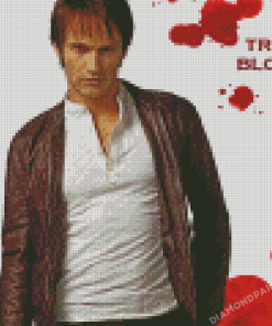 Bill Compton True Blood Poster Diamond Paintings