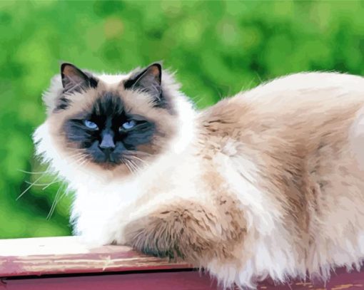 Birman Cat Diamond Painting