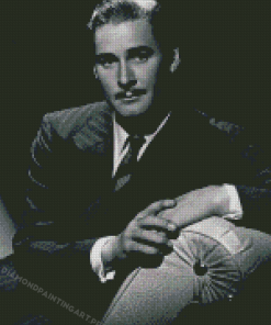 Black And White Errol Flynn Diamond Paintings