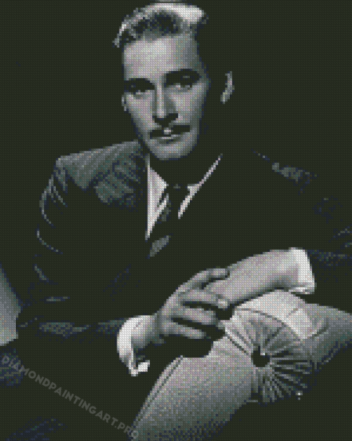 Black And White Errol Flynn Diamond Paintings