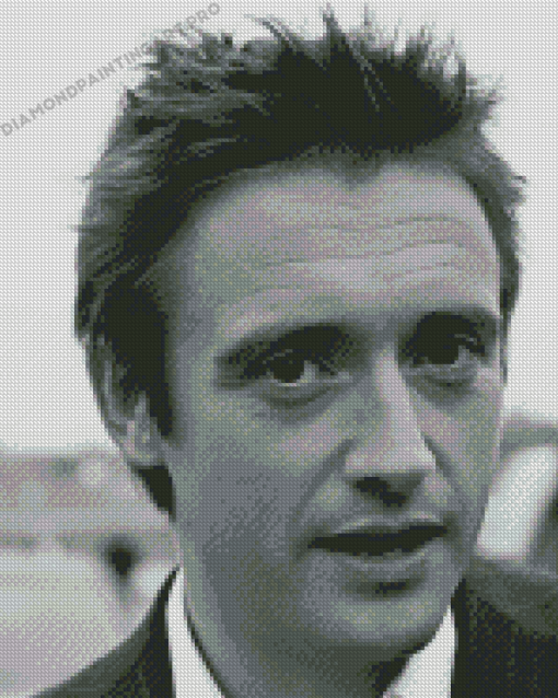 Black And White Richard Hammond Diamond Painting