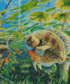 Bluegill Fish Diamond Painting