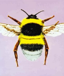 Bumblebee Insect Diamond Painting