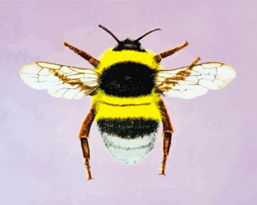 Bumblebee Insect Diamond Painting