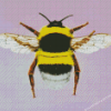 Bumblebee Insect Diamond Painting