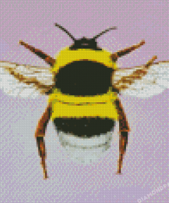 Bumblebee Insect Diamond Painting