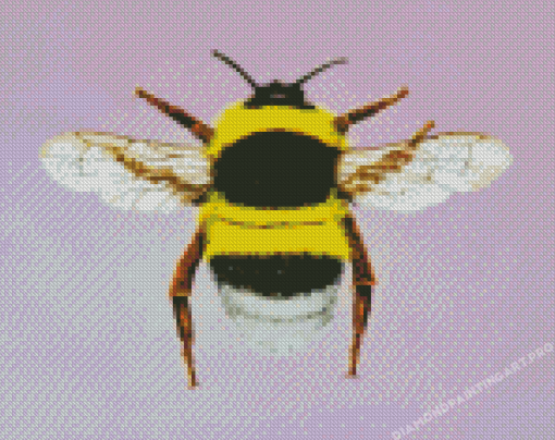 Bumblebee Insect Diamond Painting