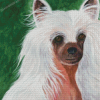 Chinese Crested Dog Diamond Painting