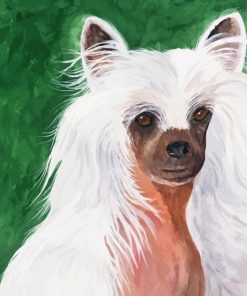 Chinese Crested Dog Diamond Painting