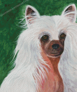 Chinese Crested Dog Diamond Painting