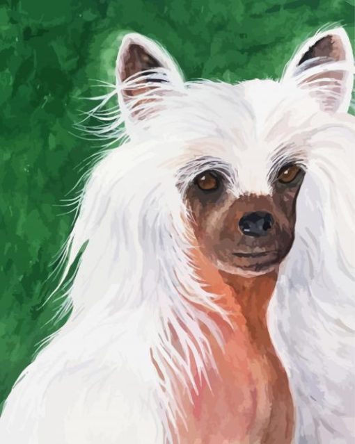 Chinese Crested Dog Diamond Painting