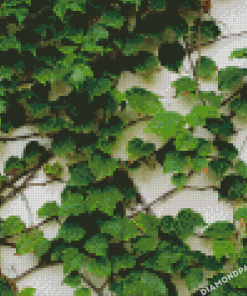 Climbing Ivy Diamond Painting