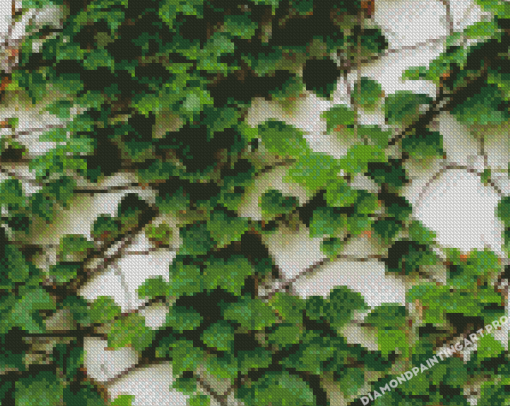 Climbing Ivy Diamond Painting