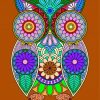 Colorful Mandala Owl Bird Diamond Paintings