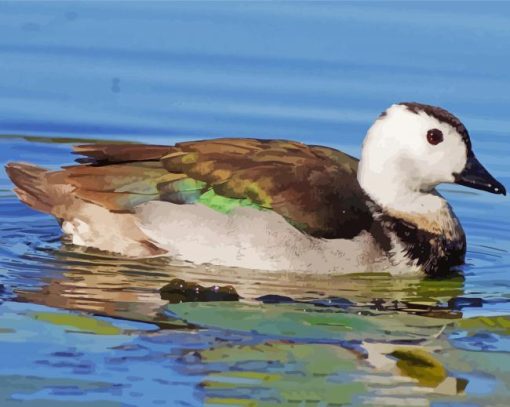 Cotton Pygmy Goose Diamond Paintings