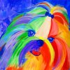 Cute Colorful Shih Tzu Dog Diamond Painting