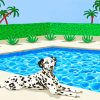 Dalmatian In Pool Diamond Painting