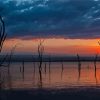 Dead Trees Lake Nakuru Kenya Diamond Painting