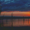 Dead Trees Lake Nakuru Kenya Diamond Painting