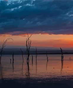 Dead Trees Lake Nakuru Kenya Diamond Painting