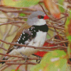 Diamond Firetail Diamond Paintings