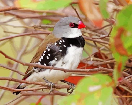 Diamond Firetail Diamond Paintings