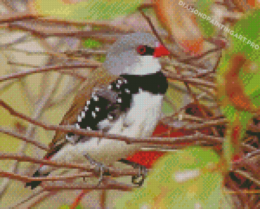 Diamond Firetail Diamond Paintings