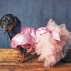 Dog In Pink Dress Diamond Painting