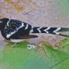 Forktail Bird Diamond Paintings