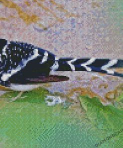 Forktail Bird Diamond Paintings