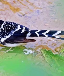 Forktail Bird Diamond Paintings