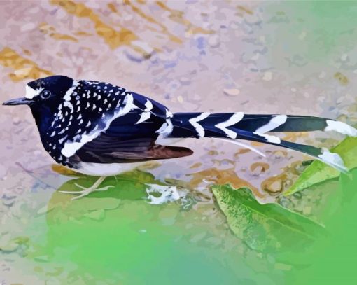 Forktail Bird Diamond Paintings