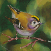 Goldcrest Bird Diamond Painting