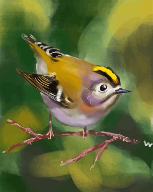 Goldcrest Bird Diamond Painting