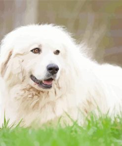 Great Pyrenees Diamond Painting