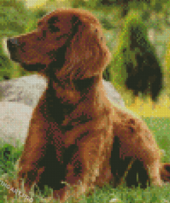 Irish Setter Dog Diamond Painting