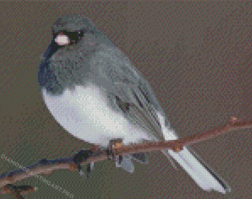 Junco Bird On Stick Diamond Painting