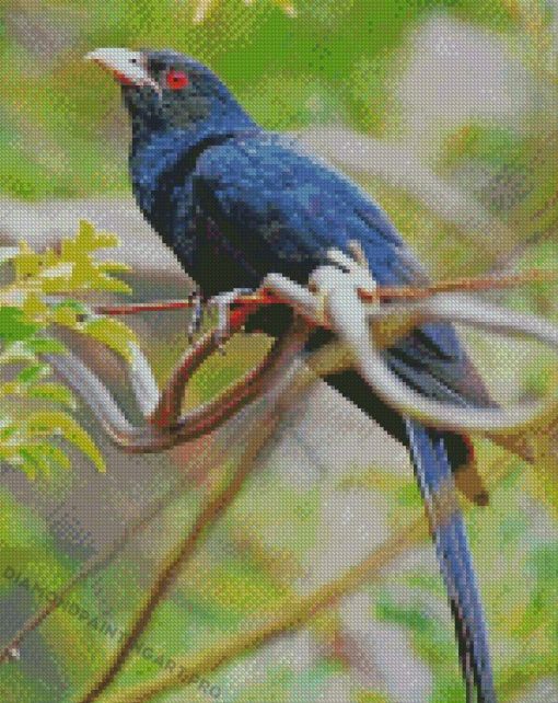 Koel Diamond Paintings