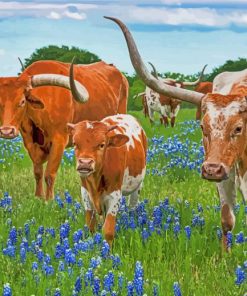 Longhorns In Texas Bluebonnet Diamond Painting