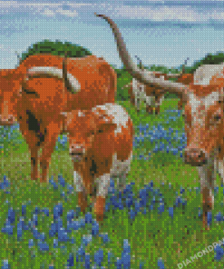 Longhorns In Texas Bluebonnet Diamond Painting