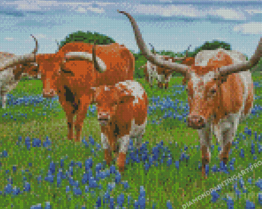 Longhorns In Texas Bluebonnet Diamond Painting