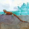 Marine Iguana Diamond Paintings