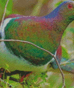 New Zealand Kereru Diamond Painting