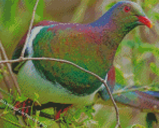 New Zealand Kereru Diamond Painting