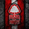 Nottingham Forest Diamond Painting