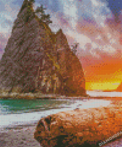 Olympia State Park Sunset Diamond Painting