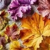 Orange Yellow Purple Leaves Diamond Painting