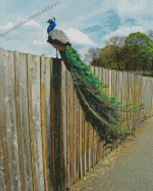 Peacock On A Fence Diamond Paintings