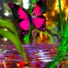 Pink Butterfly On Water Diamond Paintings